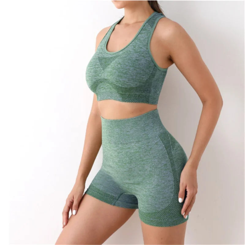 Multi-Color Seamless Activewear Set