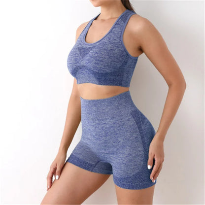 Multi-Color Seamless Activewear Set