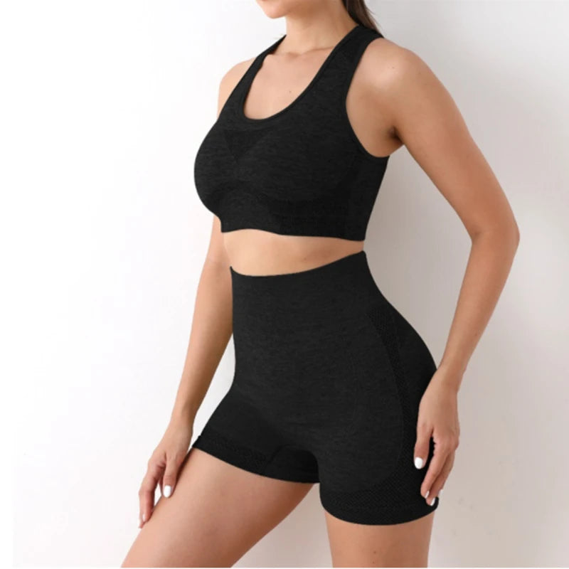 Multi-Color Seamless Activewear Set